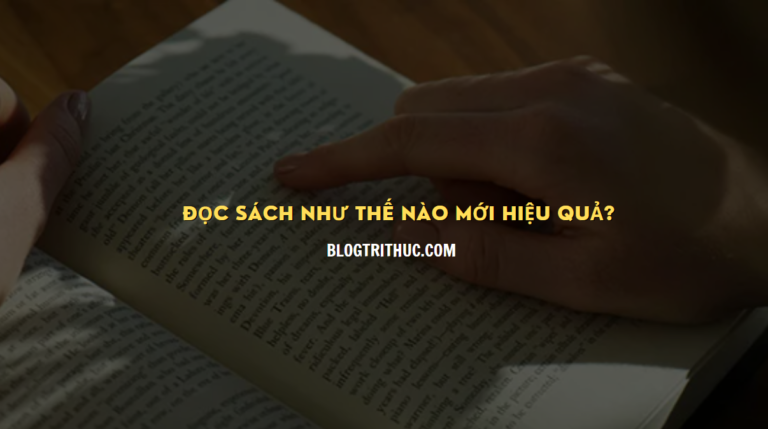 ĐỌC SÁCH NHƯ THẾ NÀO MỚI HIỆU QUẢ? CÁCH ĐỌC SÁCH ĐÚNG NHẤT LÀ GÌ?